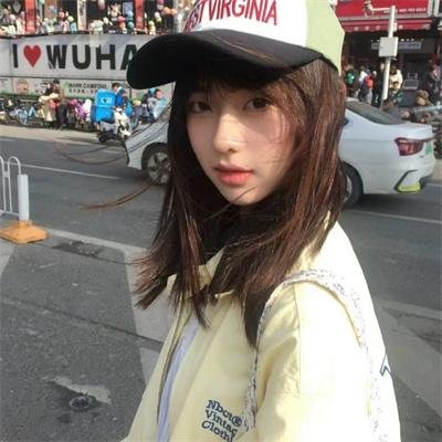 企鹅公路
